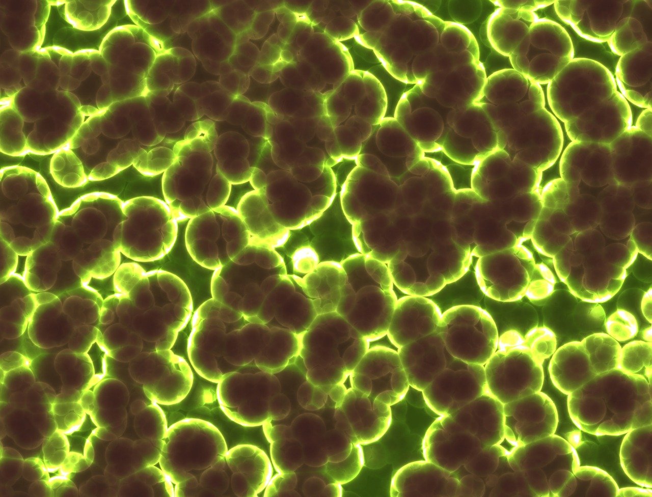 Microbiome Analysis